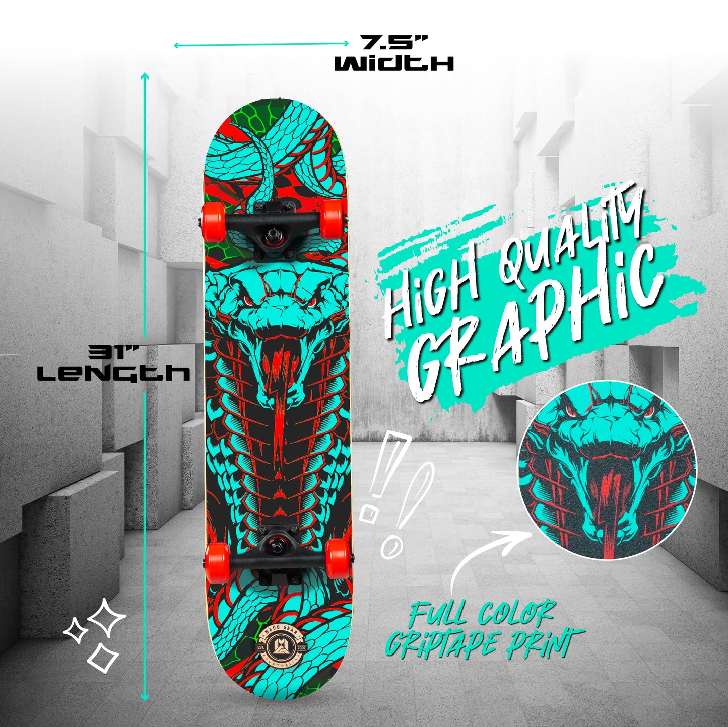 Beginner Skateboard for Kids and Teens – 31" Maple Deck – ABEC-5 Bearings – Easy to Ride – LTR